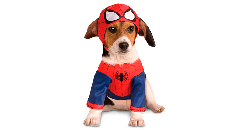 Disfraces de Halloween - Spiderman-perro