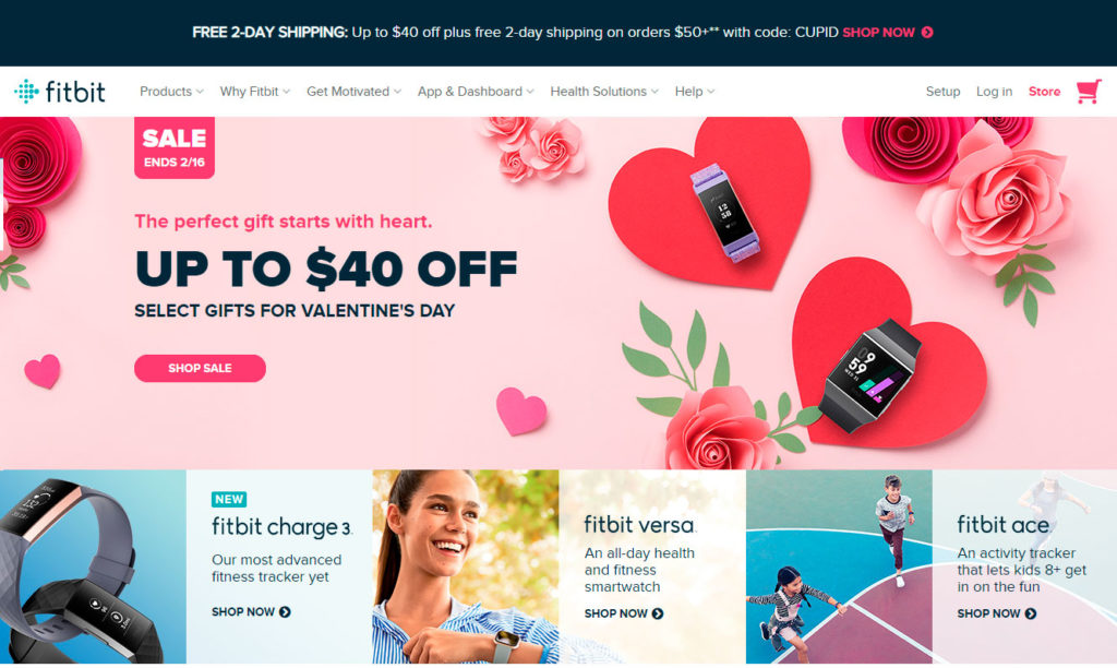 Fitbit Store