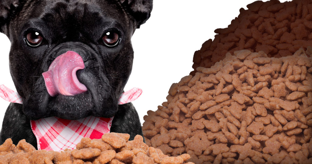 Alimentos comerciales para perros ¿Cuál es el mejor para tu perro?